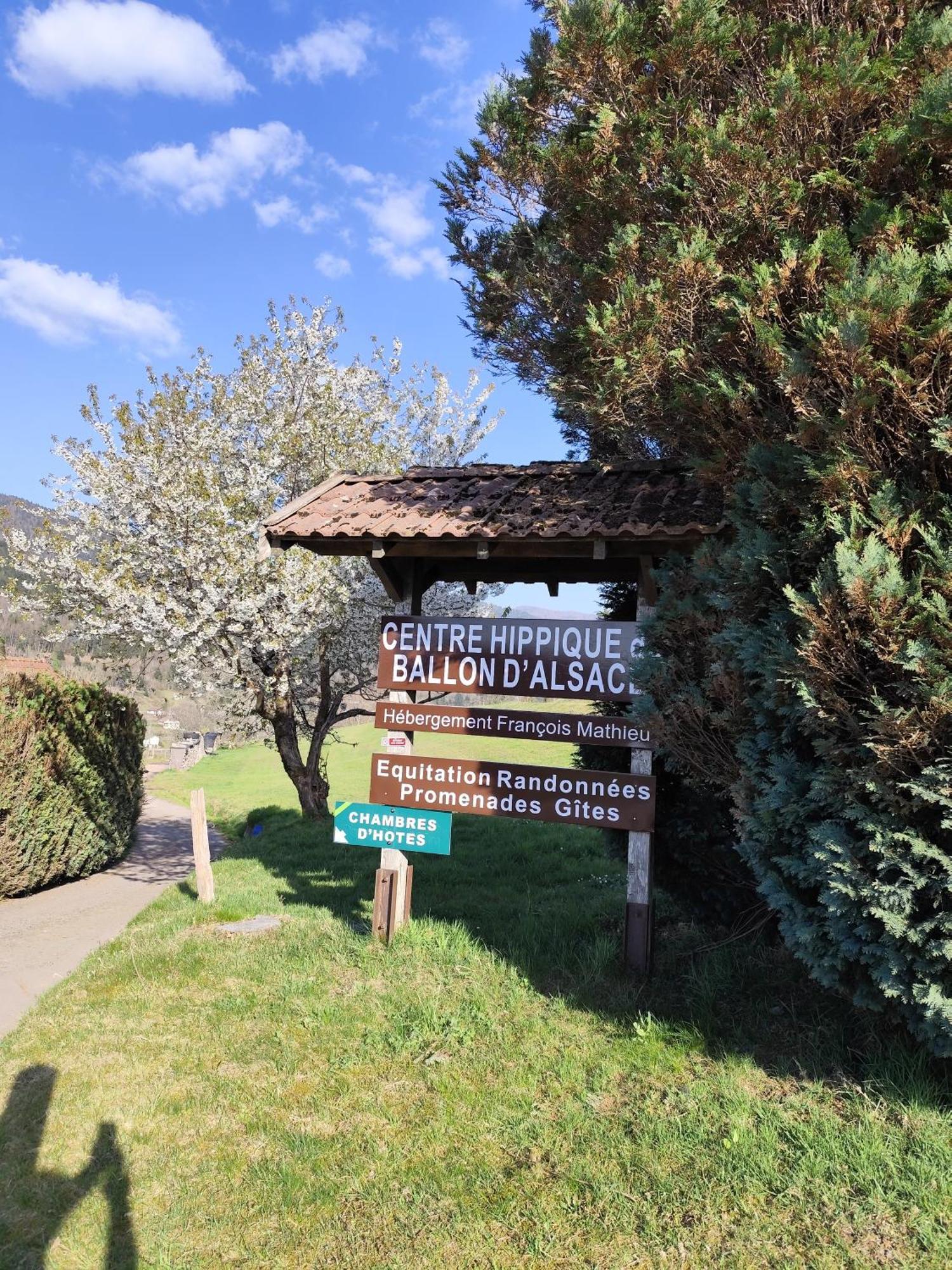 Chambres D'Hotes Hebergement F.Mathieu Saint-Maurice-sur-Moselle Zimmer foto